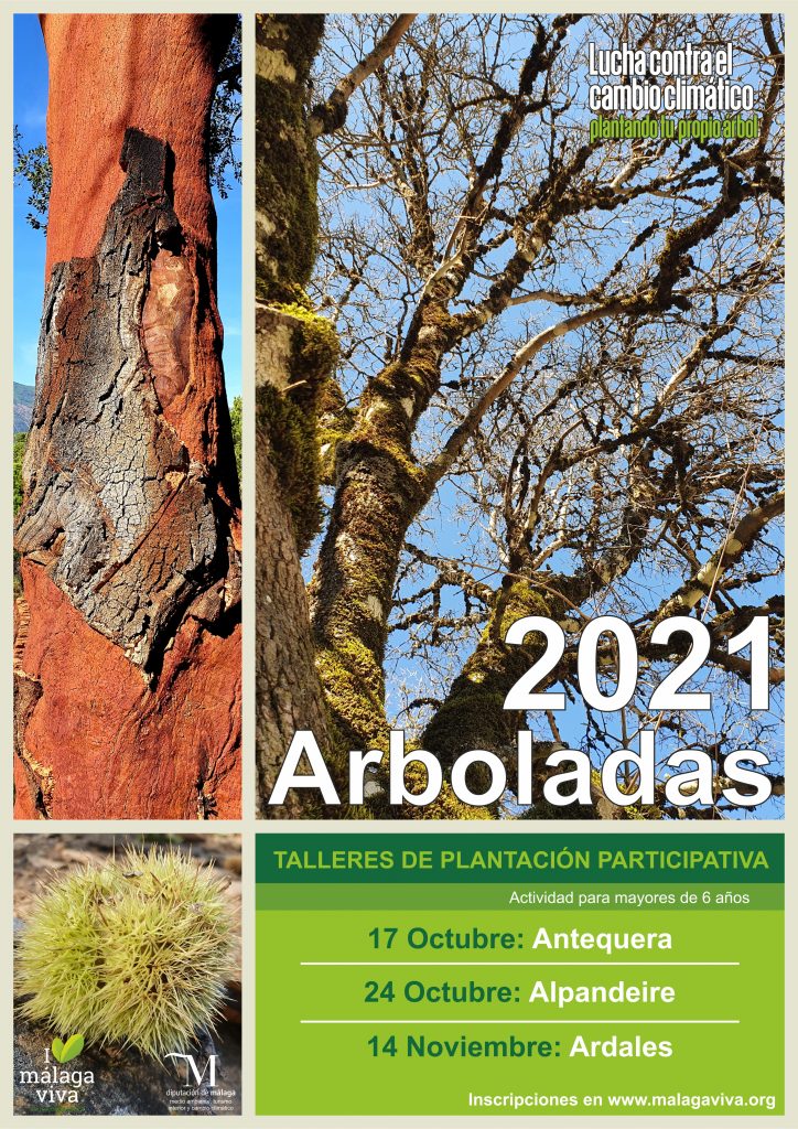 Cartel Arbolada de Otoño 2021: Alpandeire
