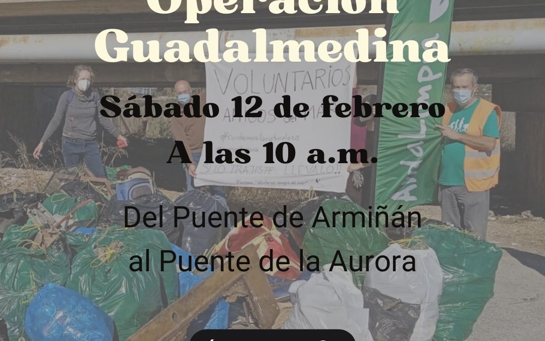 Limpieza en el río Guadalmedina