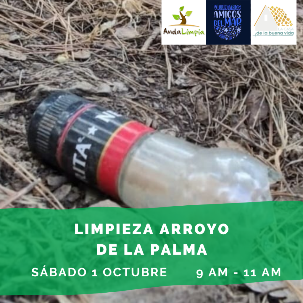 Limpieza en el Arroyo de La Palma