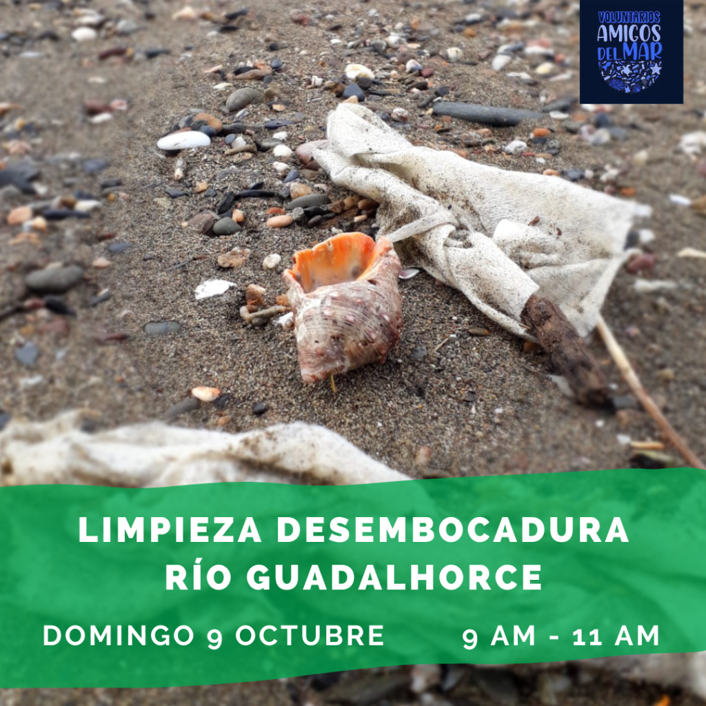 Cartel limpieza en la desembocadura del río Guadalhorce