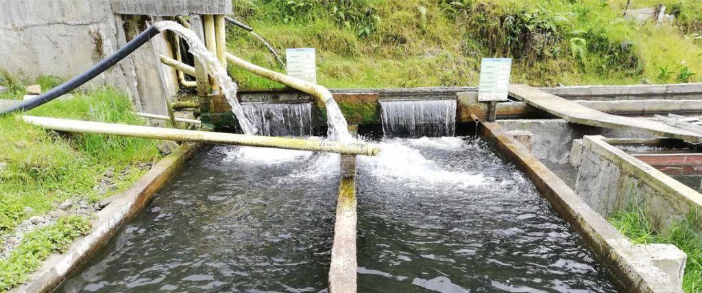 Soluciones eco innovadoras de Bioazul