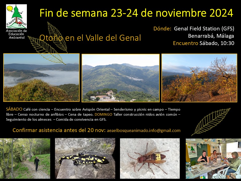 Cartel quedada de otoño en el valle del genal