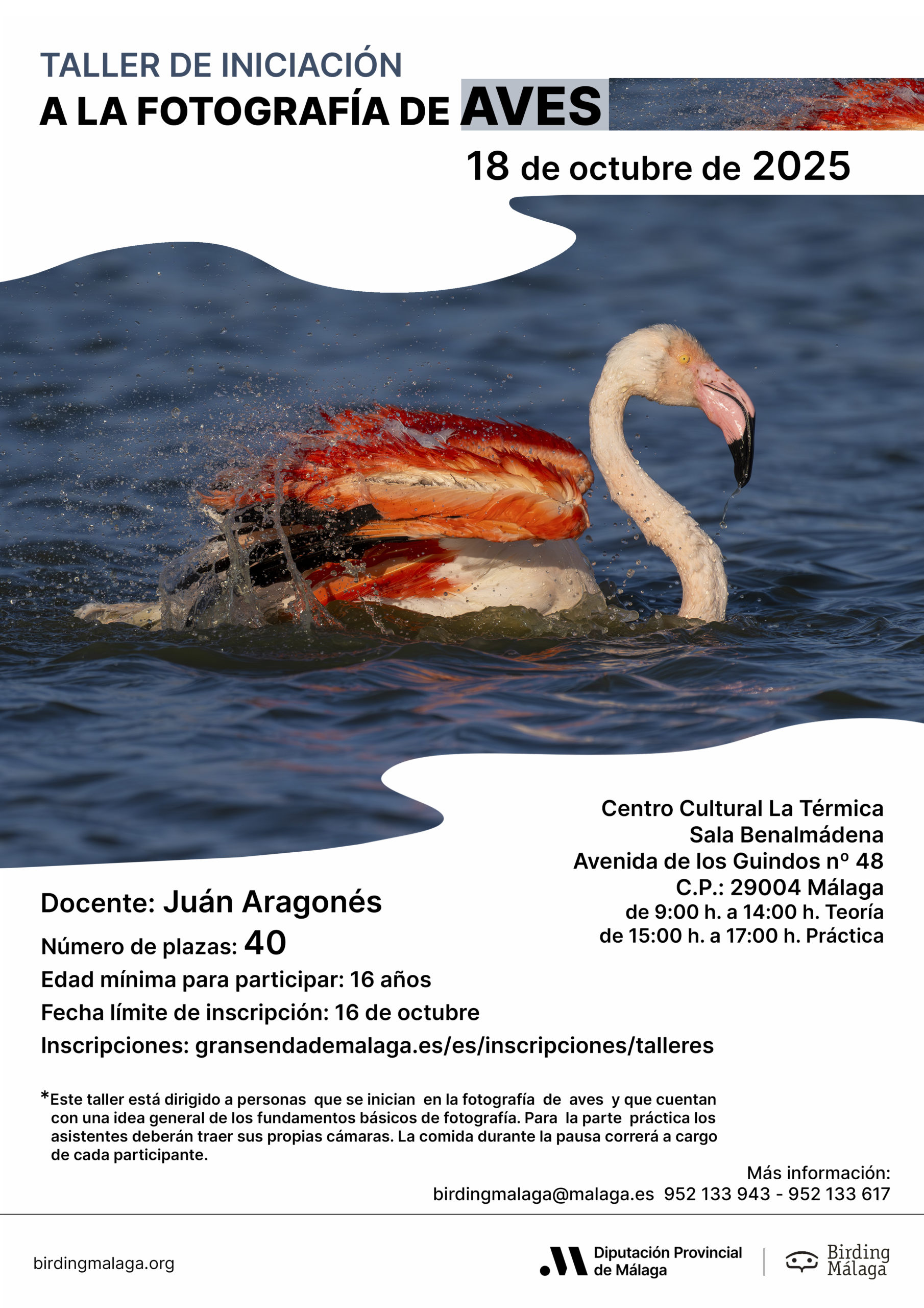 Cartel taller iniciación de fotografía de aves