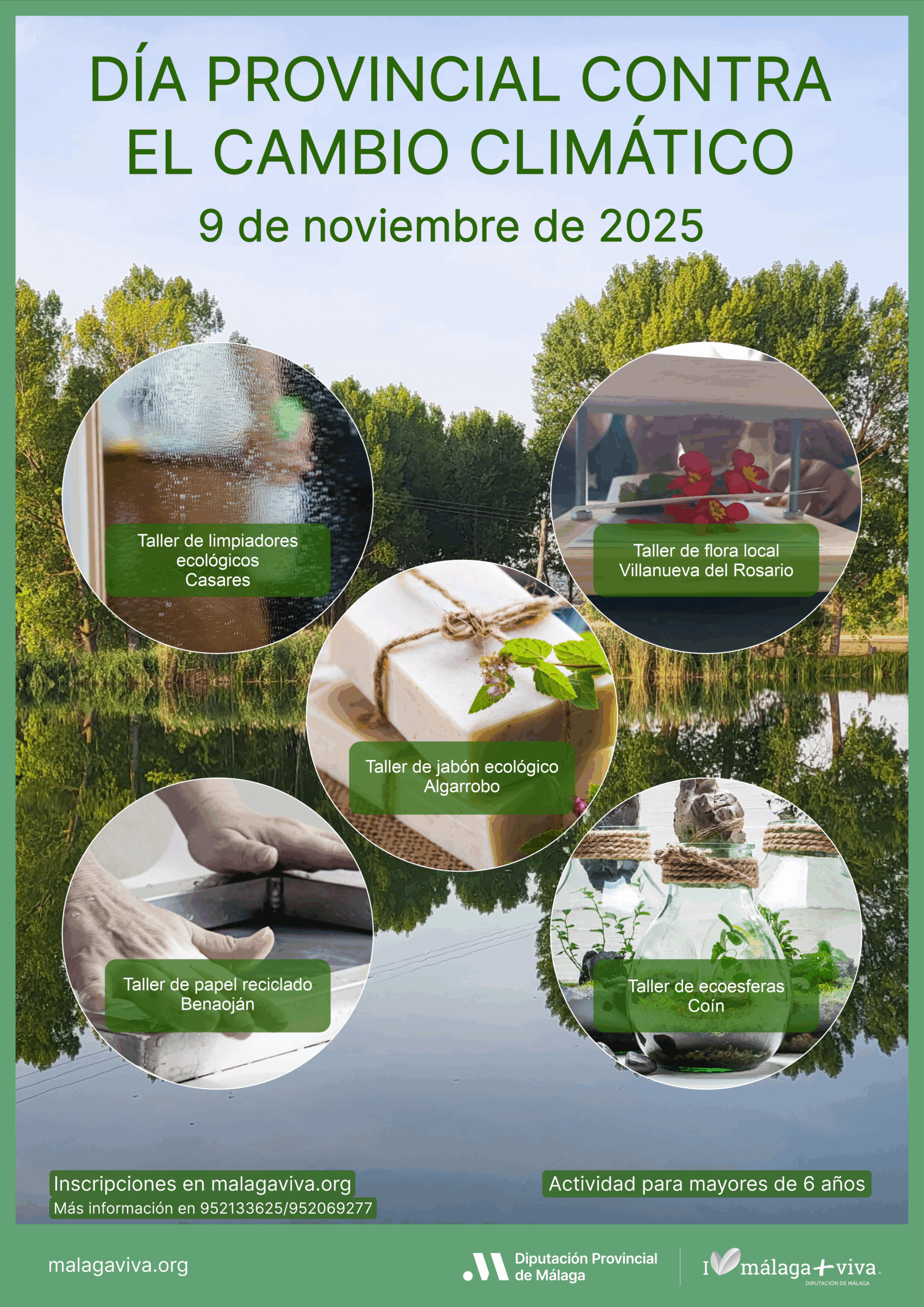 Cartel V Día Provincial