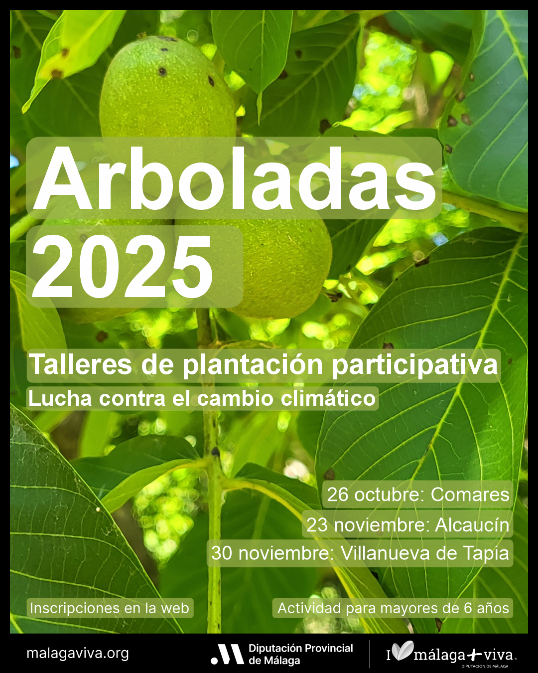 Cartel arboladas de otoño 2025