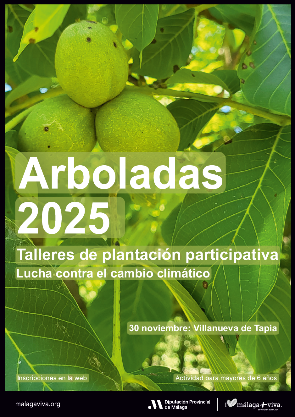 Cartel Arbolada Villanueva de Tapia