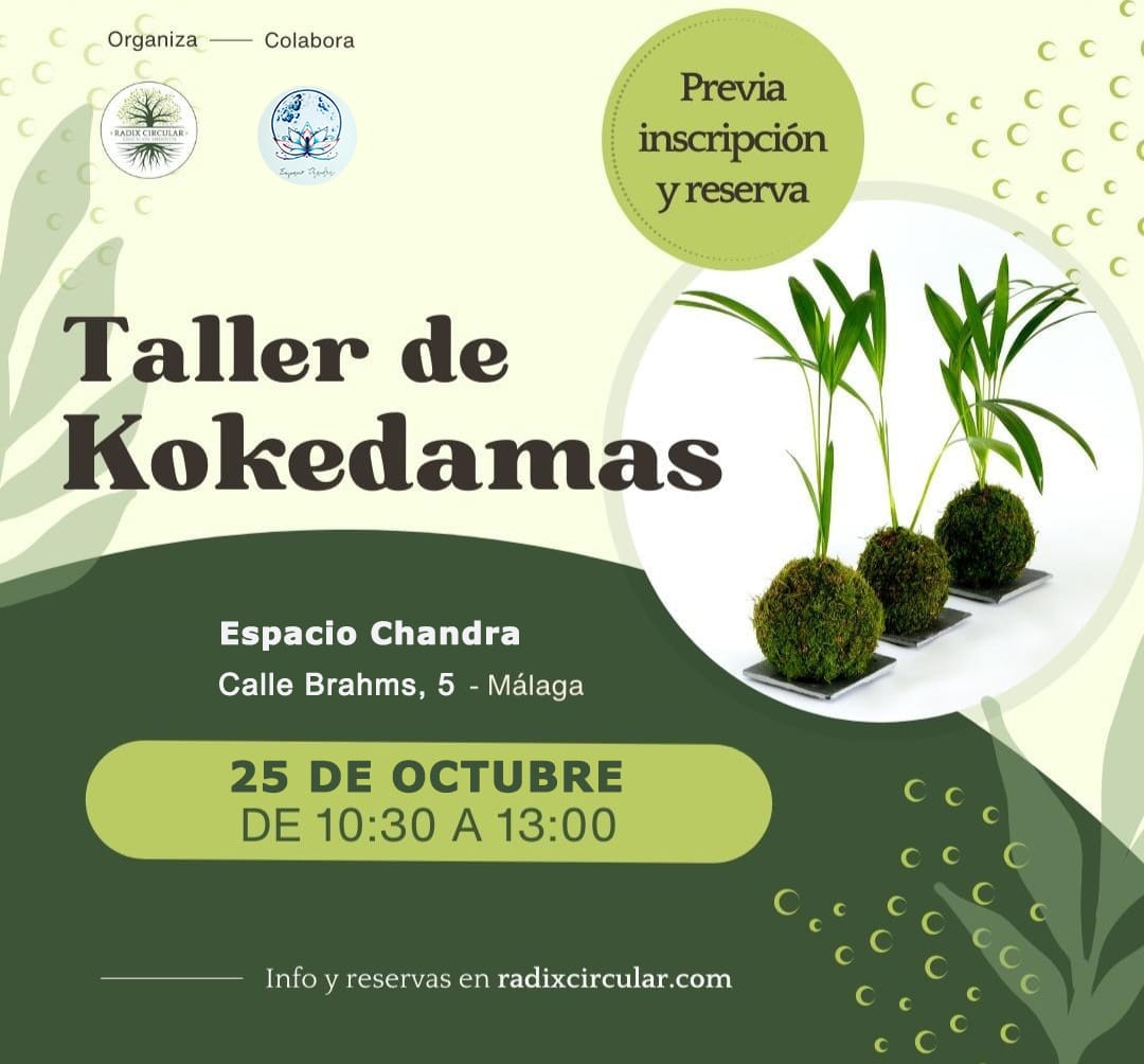 Cartel Taller de Kokedamas