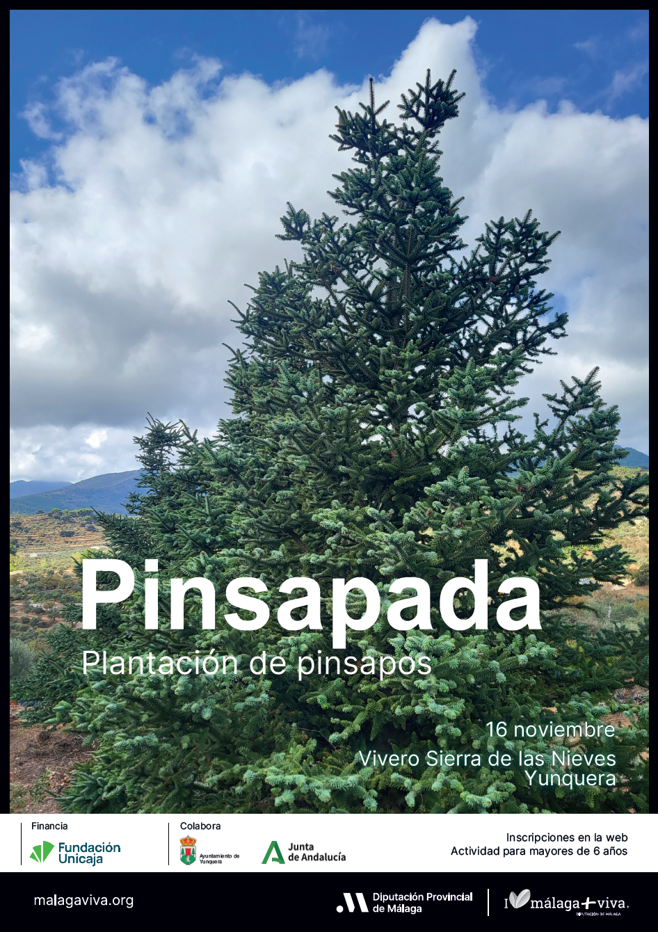 Cartel Pinsapada el 16 denoviembre